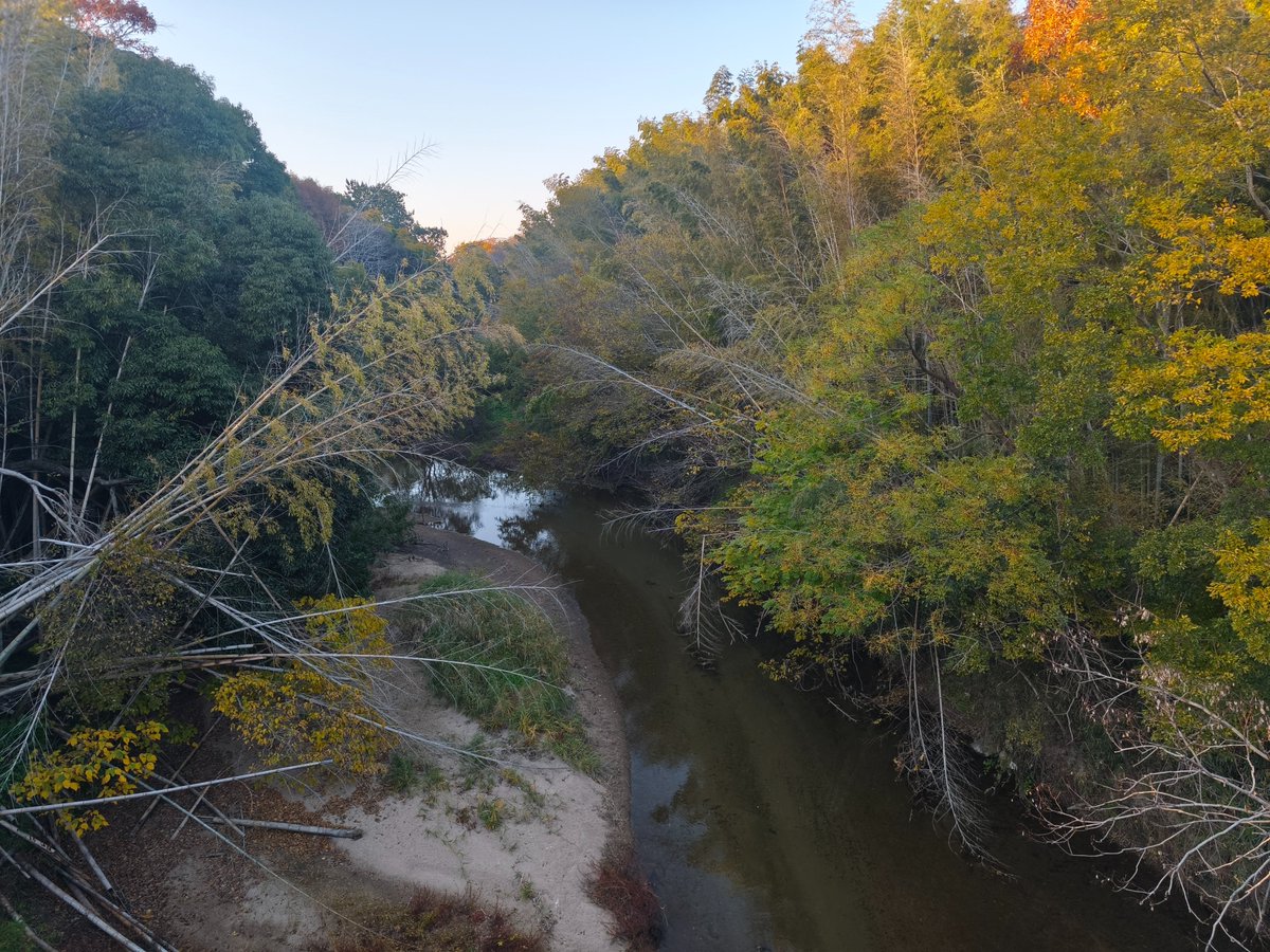 今日も自転車乗った。かっこいい鳥居とかっこいい橋と山奥みたいな川。