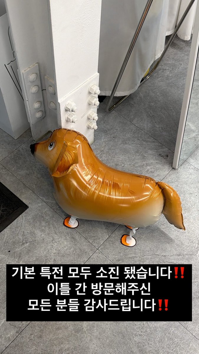 이동글🦔 tweet media