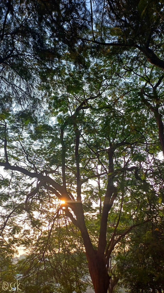 saketkaurav's tweet photo. https://t.co/PLxZ23pxD1
