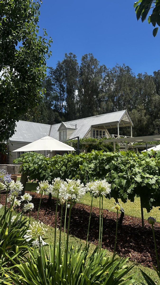 BookDirectAU's tweet image. Great day today in the heart of the Hunter Valley Wine Country. 
#huntervalley