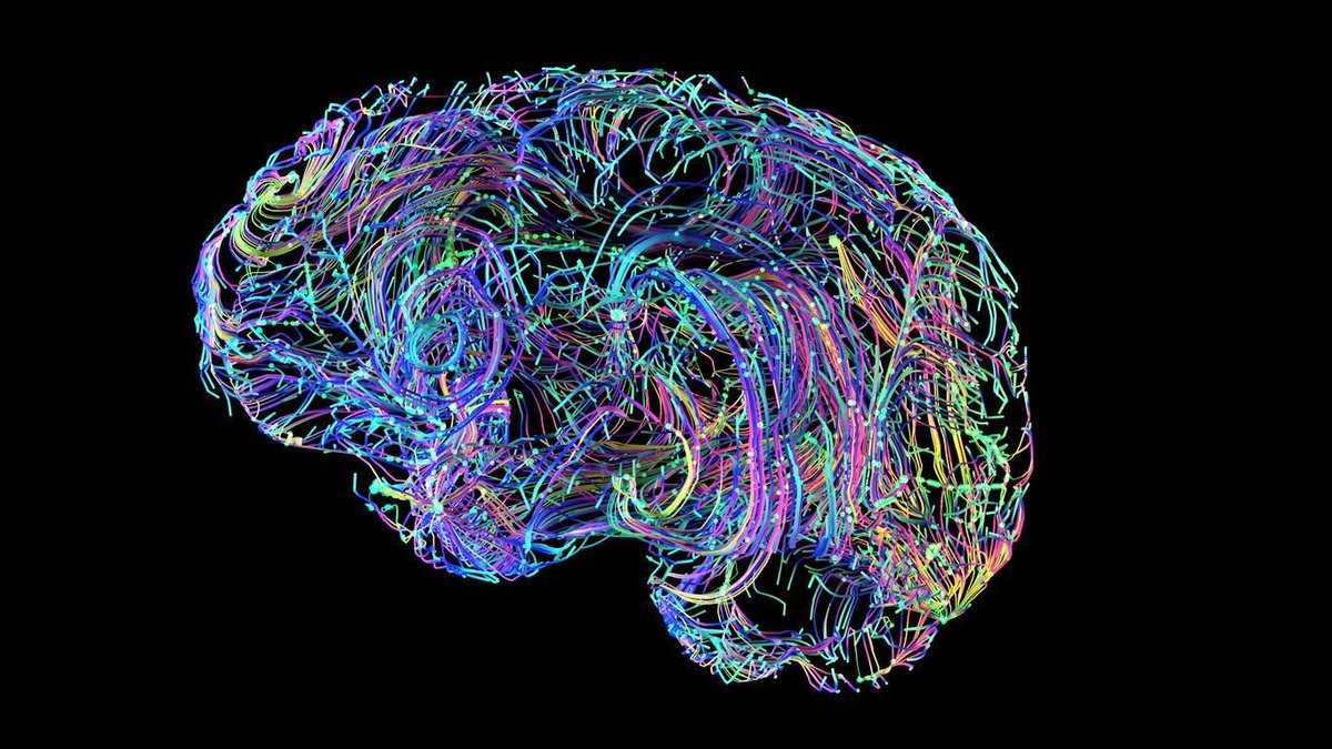 fadouce's tweet image. Une étude affirme que le cerveau 🧠  n’atteint l’âge adulte qu’après 30 ans  
Le cerveau a 5 «ères», disent les scientifiques, 
et a quatre «points de rotation» pivots à environ 9, 32, 66  et 83 ans   
buff.ly/sGsQ0zl