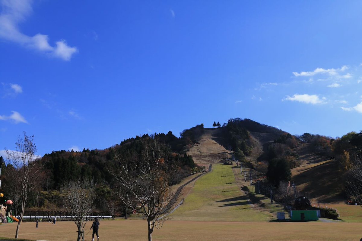 lc575able's tweet image. まさに小春日和の天気でした。12月に入ると冬に向かうのでしょうね。兵庫県北部の但馬牧場公園に行ってきました。

スキー場は芝生が広がっています。

羊が散歩中です。ヤギや牛もいます。

デジカメはEOS-70D、フィルムカメラはOlympus Pen-FTです。
#但馬牧場公園