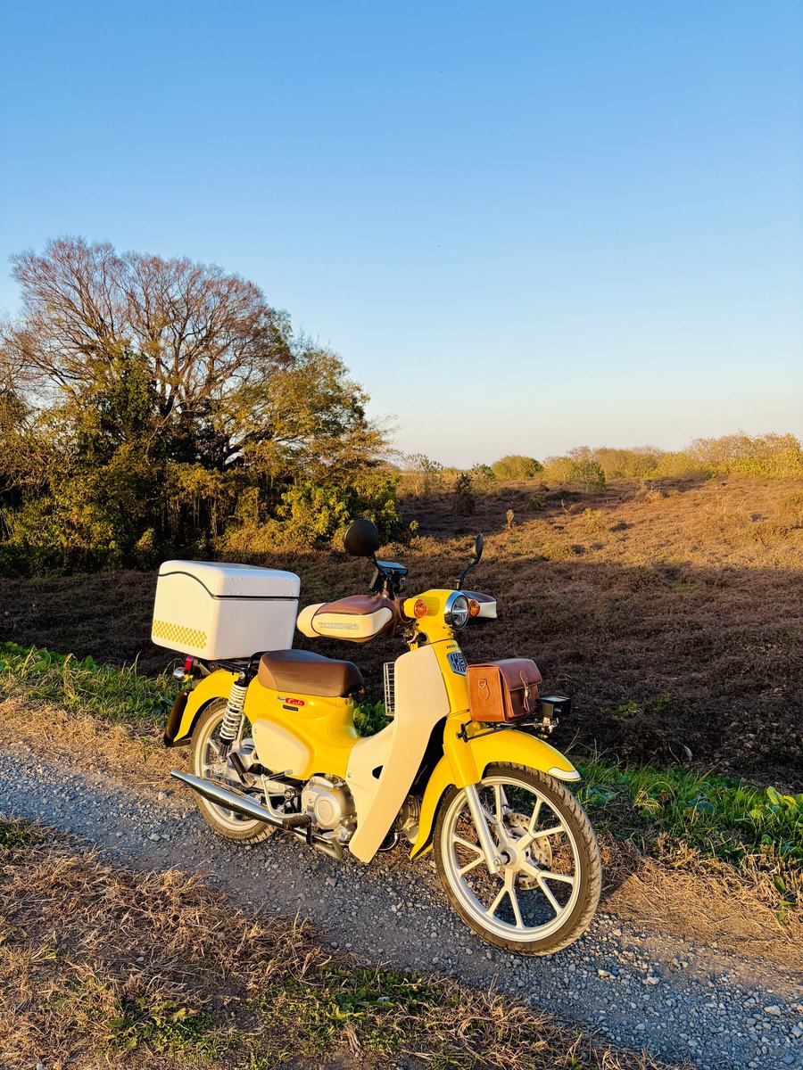 スーパーカブ110