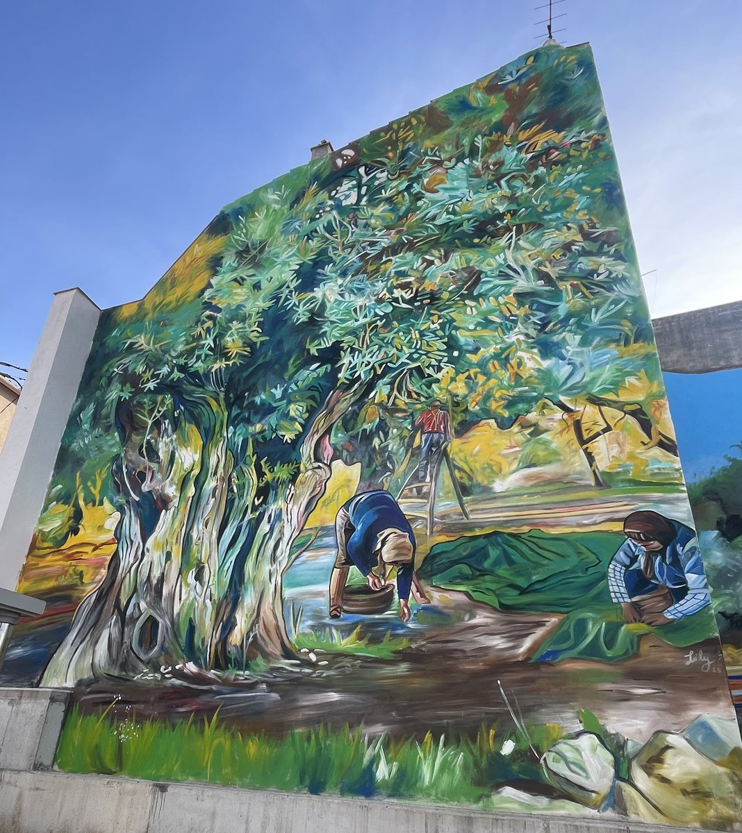 Sesksamar7's tweet photo. Un convido a gaudir de prop el magnífic mural que homenatja les oliveres mil·lenàries. Ahir el vam inaugurar a Godall (Montsià).
#Godall
#Montsià
#Catalunya
#PaïsosCatalans https://t.co/9oa35AUqjd