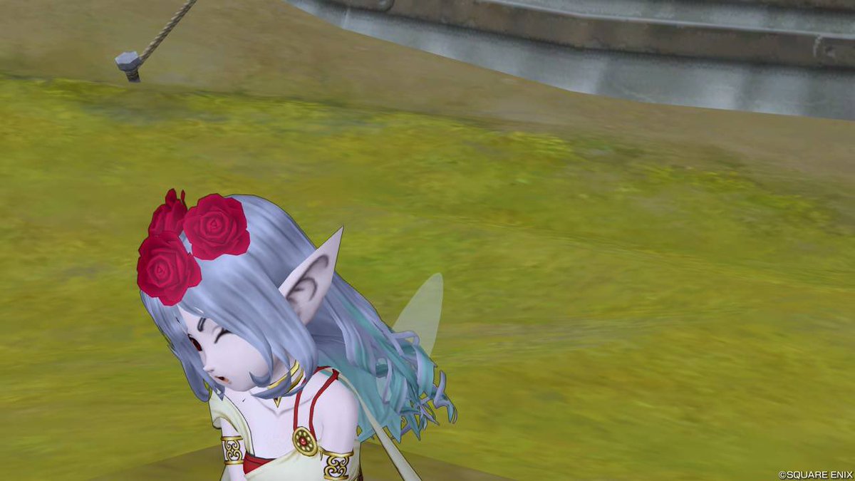 こーぢぃ＠DQX tweet media