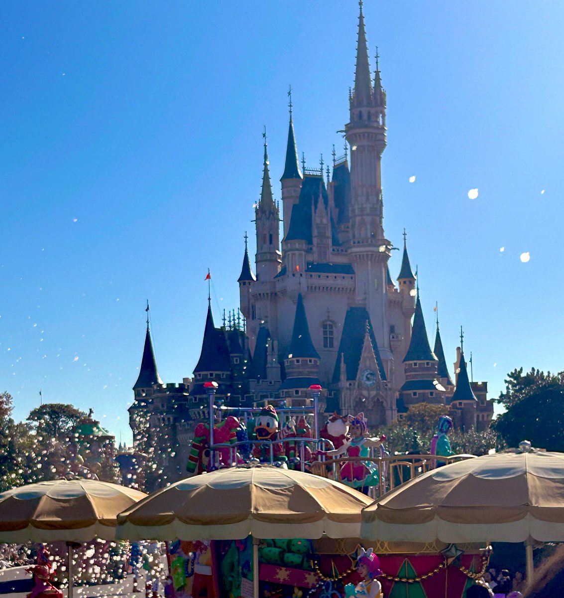 tukimi_m's tweet photo. 11月最終日ー！
フラワーアレンジメント、紅葉狩り、ディズニー🏰予定詰め込んで充実した月だった🙌
5年ぶりのランドめちゃ楽しかった🥹
また行きたい🥹 https://t.co/KiLvbpbd9e