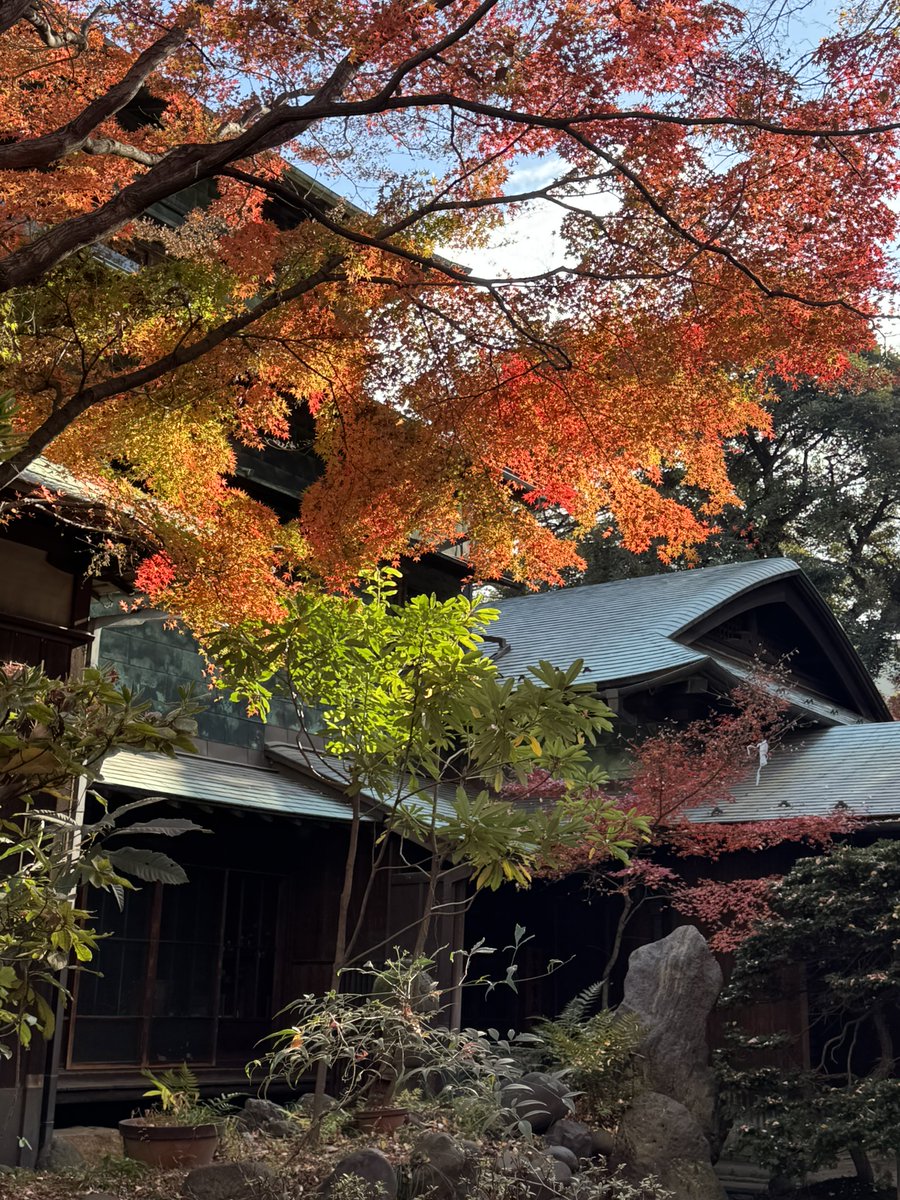 貴重資料 中国美術【支那古陶瓷】大谷光瑞・陶雅会☆昭和7年