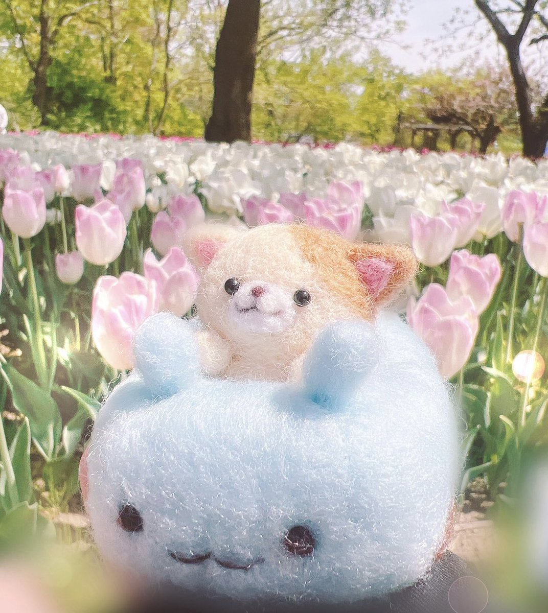 なんてかわいいの！！！