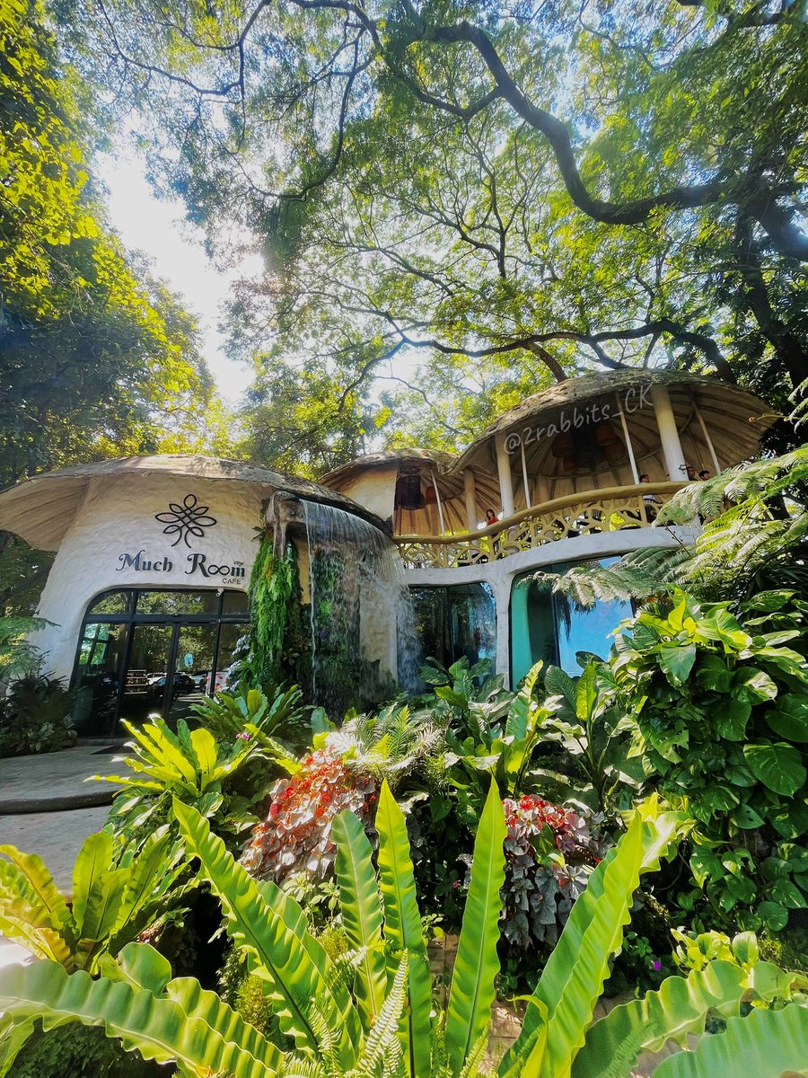 2rabbits_CK's tweet image. Coffee Times @ChiangMai

#เชียงใหม่ #ChiangMai #coffee 
#คู่แท้ #คู่แลกไม่แลก