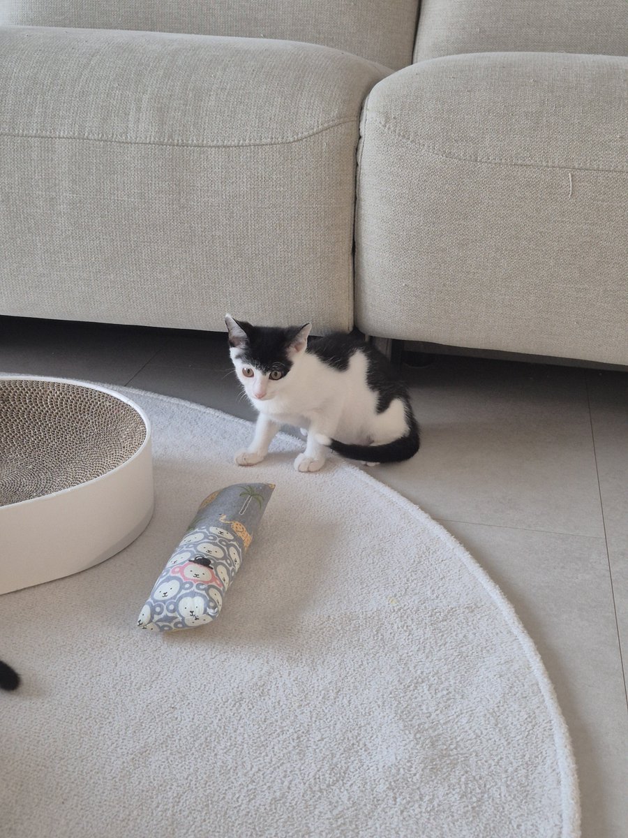 김박사🕯️ tweet media