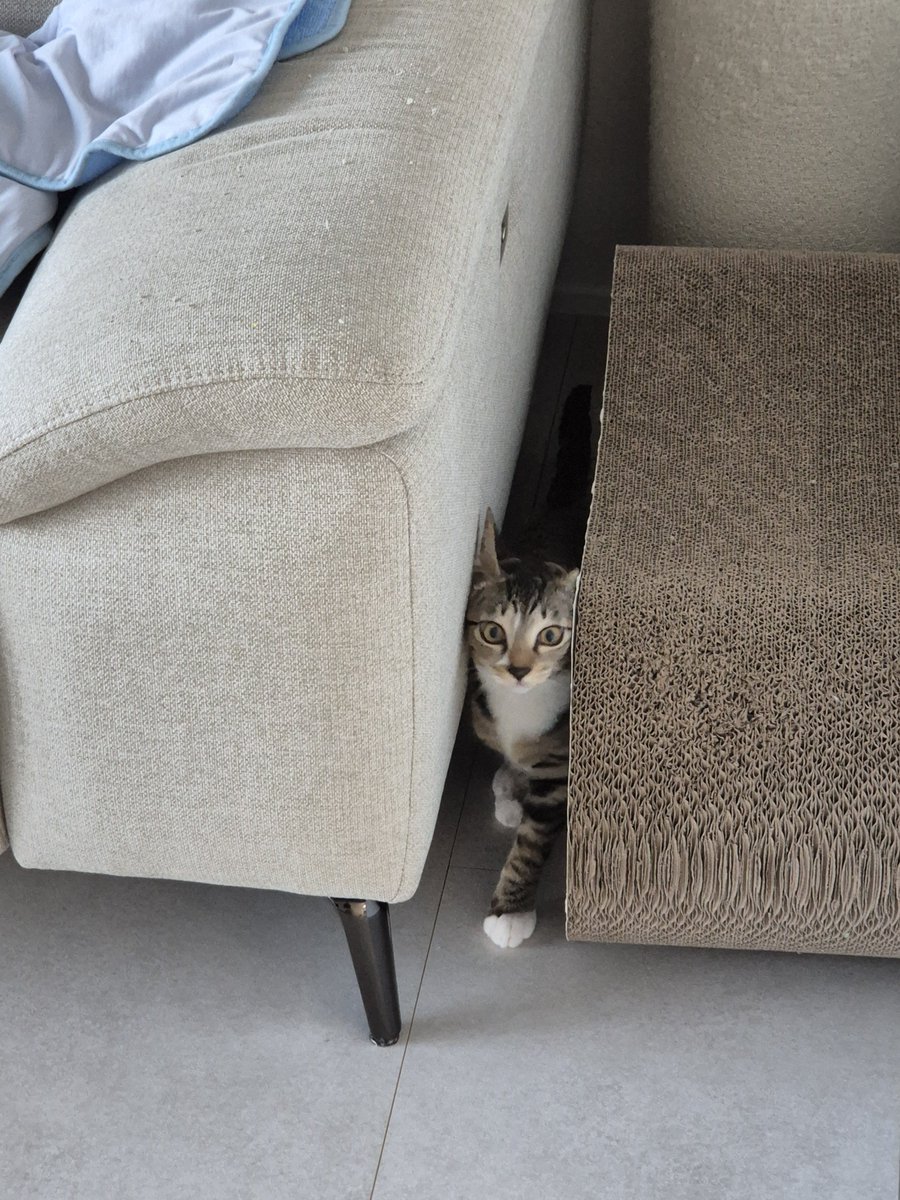 김박사🕯️ tweet media