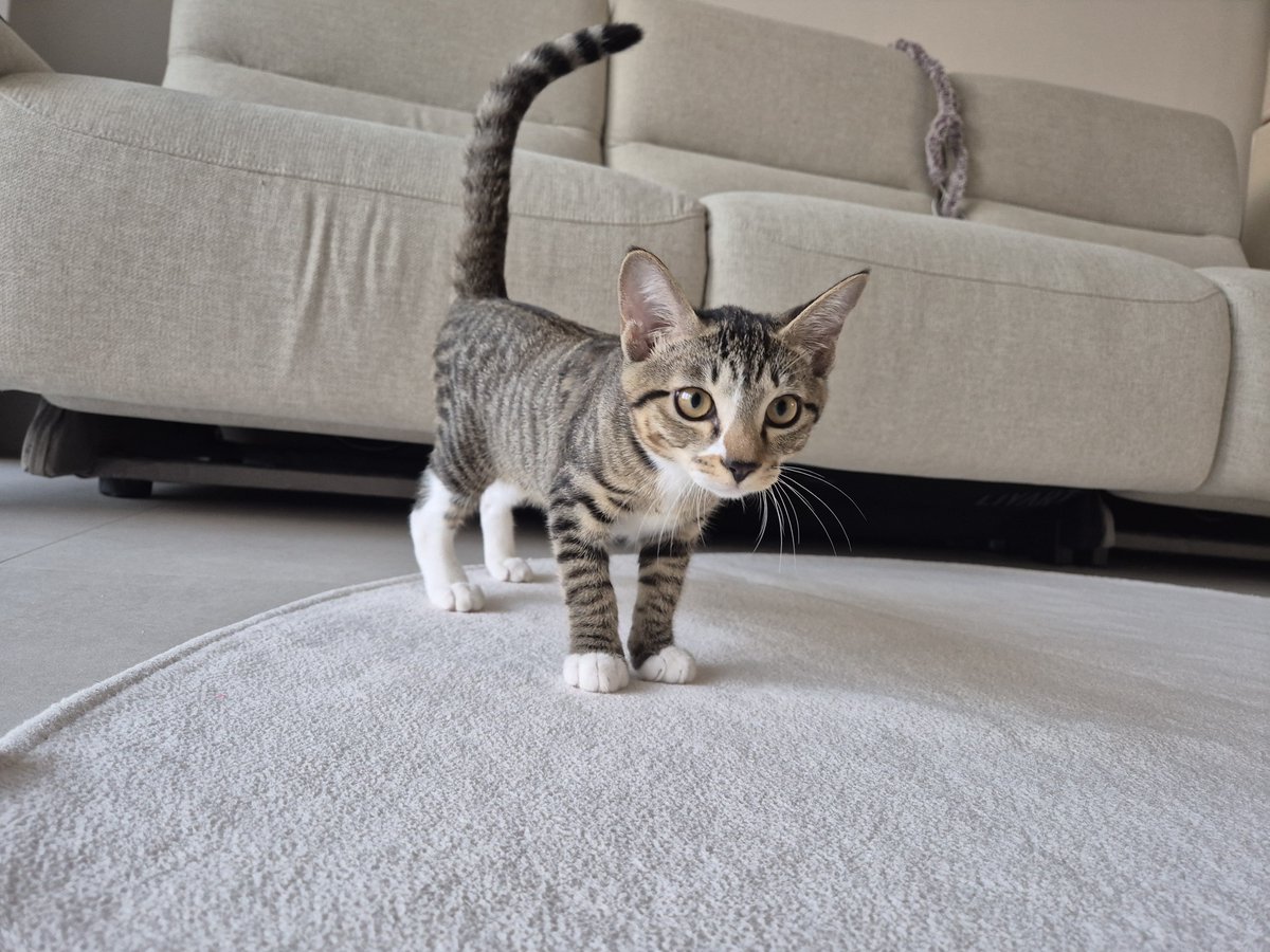 김박사🕯️ tweet media