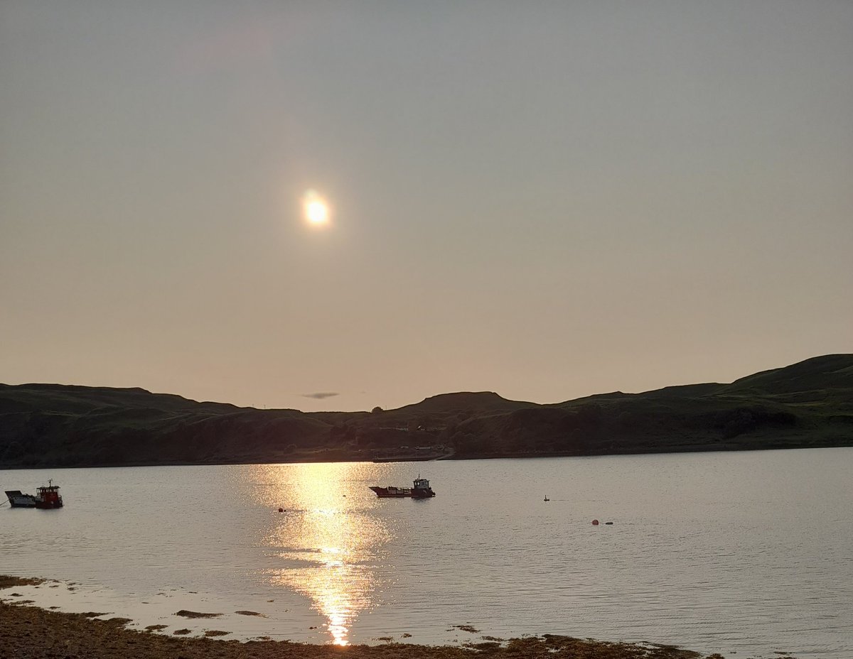 birdcampics's tweet image. Oban
#StAndrewsDay #AlphabetChallenge 
#WeekVforVowels