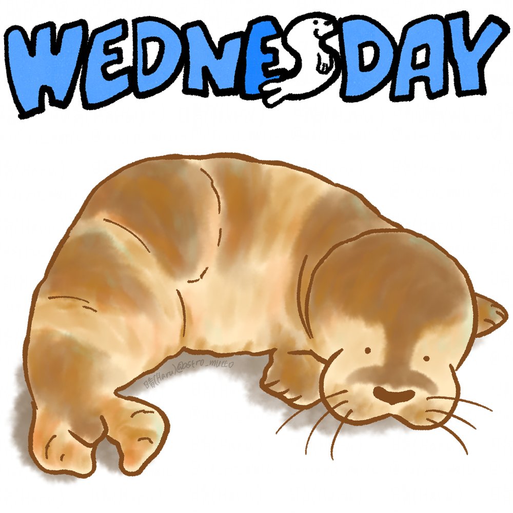 おはようございます☀

Good morning ☀️