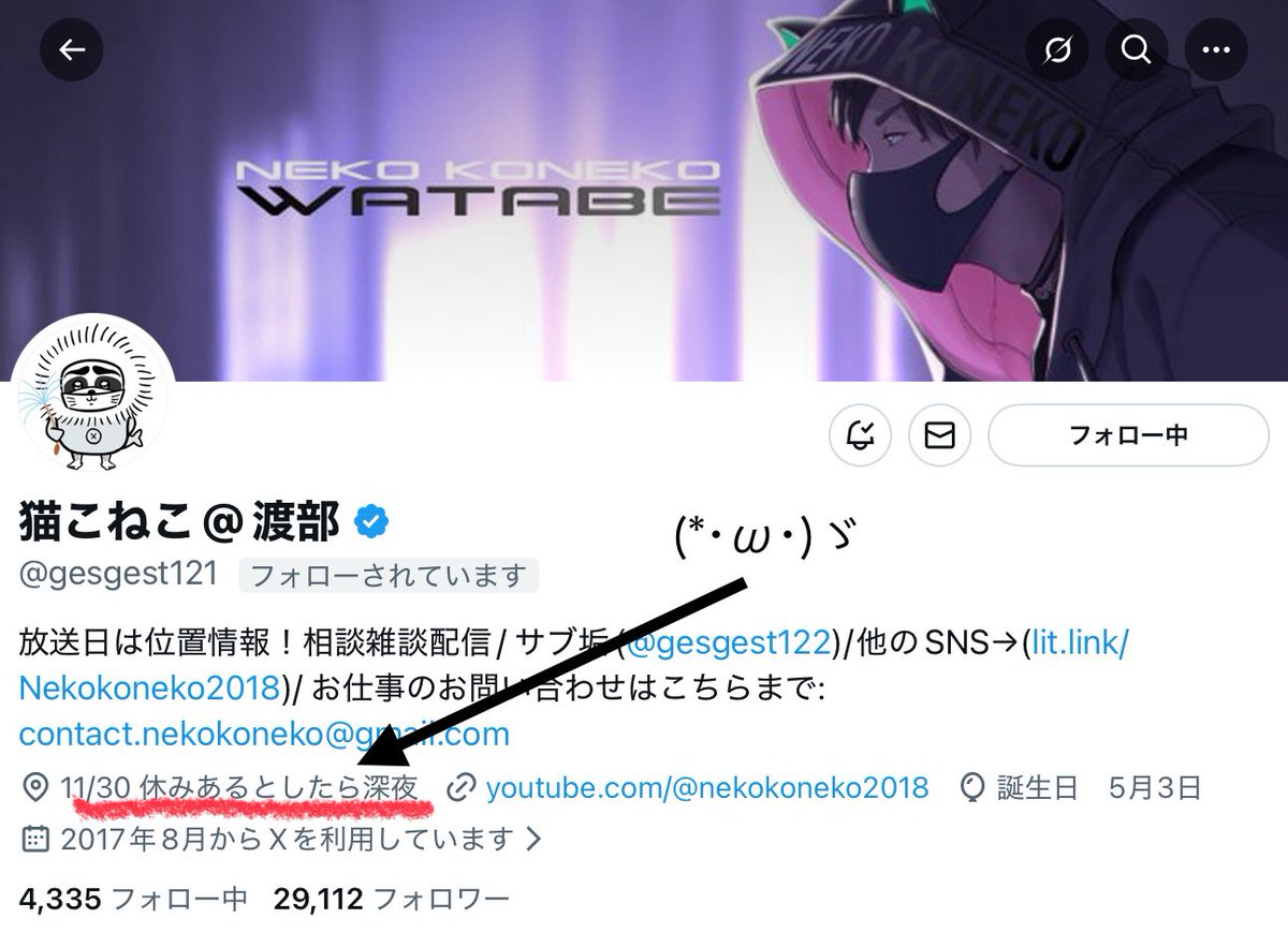 ねここねこ  猫こねこ