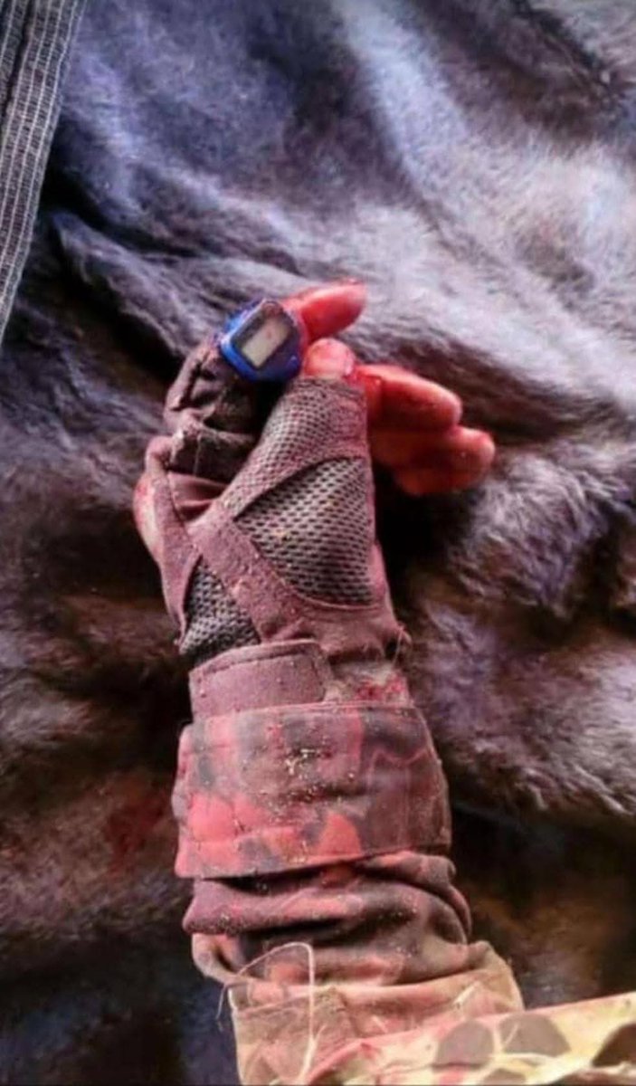 Wolveri07681751's tweet image. شهداء ردع العدوان
الشهيد أحمد اوسو أبو عمير من مدينة تل رفعت 
شاب بهمة عالية وأخلاق حميدة  
استشهد بريف حلب في الأيام الأولى لمعارك ردع العدوان
تقبله الله في عليين