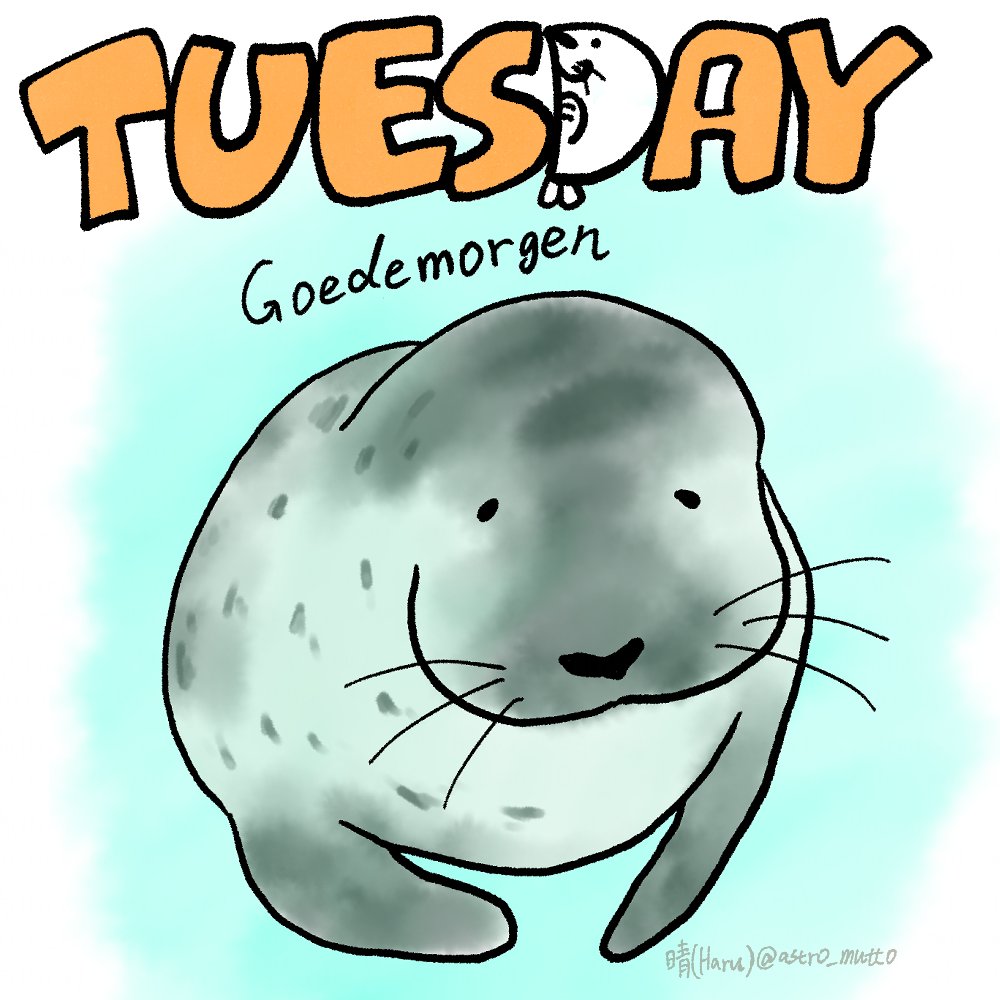 おはようございます☀

Goedemorgen ☀️