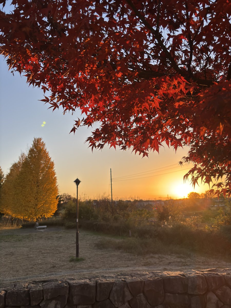 Today's sunset (@summer3532) / Posts / X