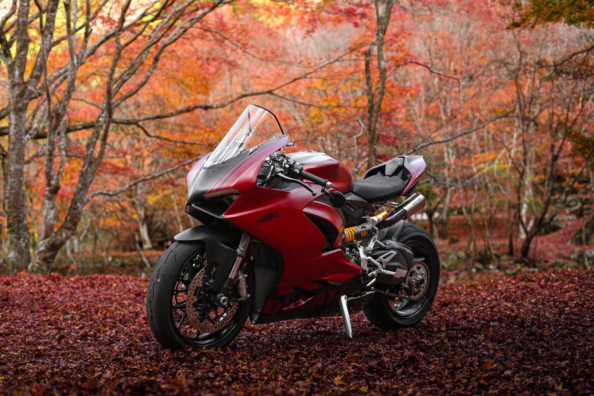 m_cbr_v2's tweet photo. 紅葉に合うバイクはこちらです🤭

ボーナスによるパーツ購入欲と日々戦っております… https://t.co/x8eaqTqKxu