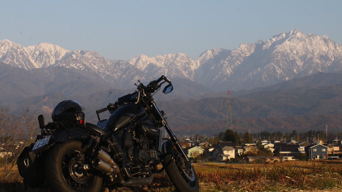 確認ᐠ(  ᐢ ᵕ ᐢ )ᐟ 👾✖️. Zx - YouTube