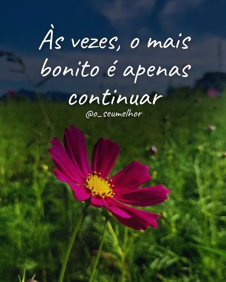 Hildarezende's tweet photo. https://t.co/KhJlm9MIFd