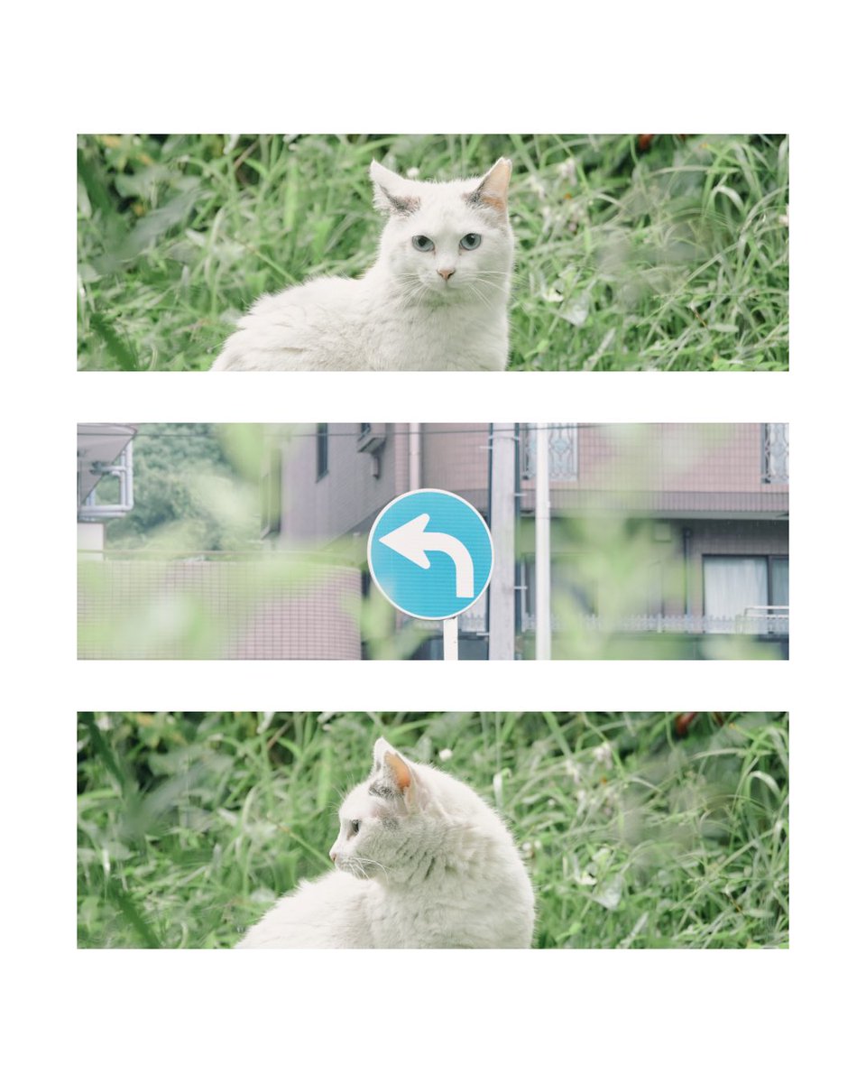 q_photograph's tweet image. 