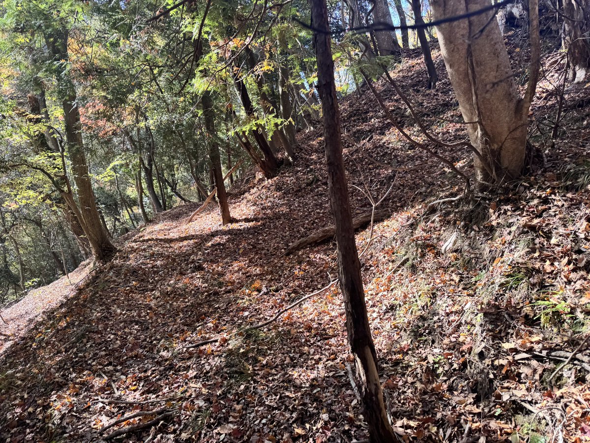 scarecrow762's tweet image. MSS-20に無事入魂☺️
今日は初っ端から鬱蒼とした雑木林の中、50m先で木化けしてるシカを発見
外したものの、感覚がビンビンに研ぎ澄まされているのを実感
1頭目はそこから200m先を進んだ対面の尾根付近で木化けしてるところを見つけた…