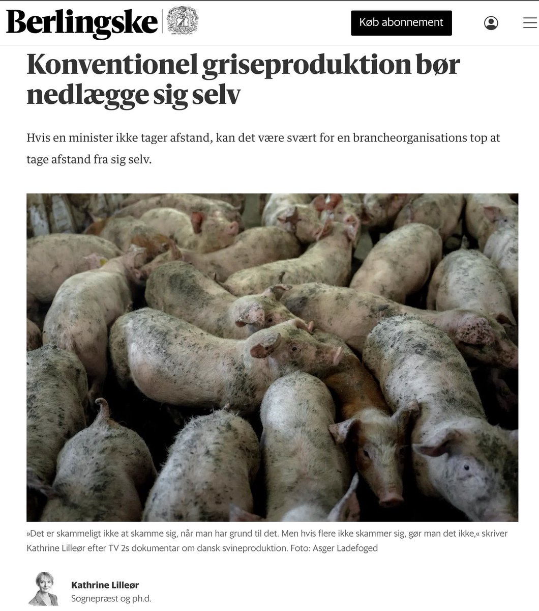 "Det er skammeligt ikke at skamme sig, når man har grund til det". "Ministeren vredes ikke på grisenes vegne, men på vegne af dem, der nu må opleve at blive hængt ud, fordi de har grise, der vanrøgtes i deres stalde." berlingske.dk/kommentatorer/…