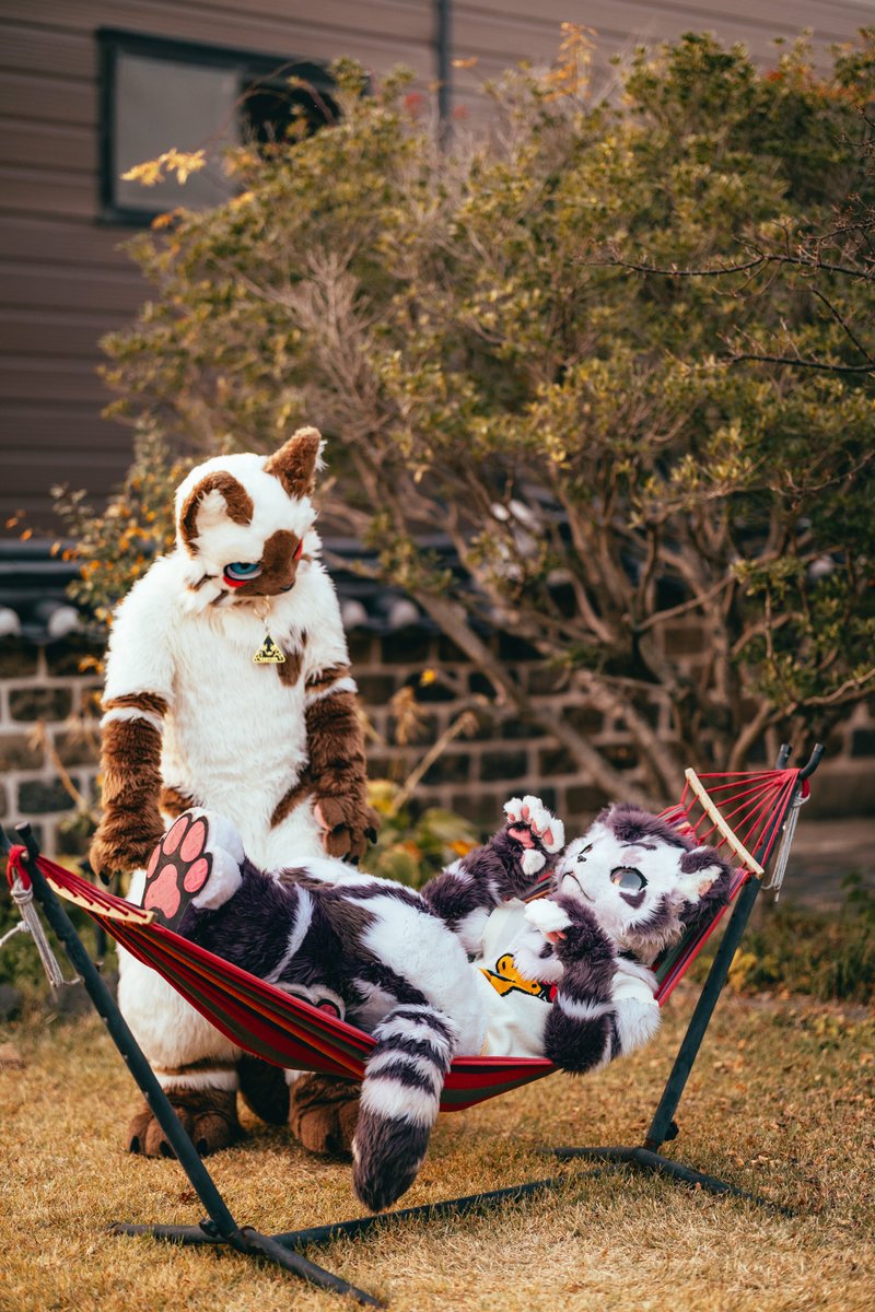 あのー、知性席なんですけど