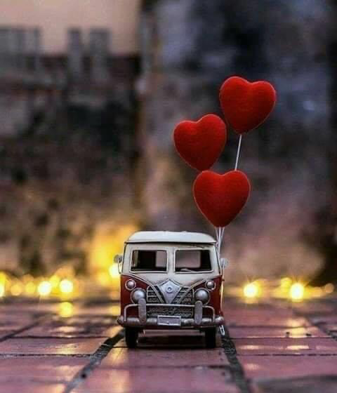 AdelAliBinAli's tweet photo. كل الأشخاص الذين يدخلون إلى عالمنا مصادفه
نحبهم أكثر من الذين أدخلناهم
باختيارنا ورغبتنا
أشخاص الصُدف
اصدق
ابقى
واجمل ..❤ https://t.co/S6QcHem18t