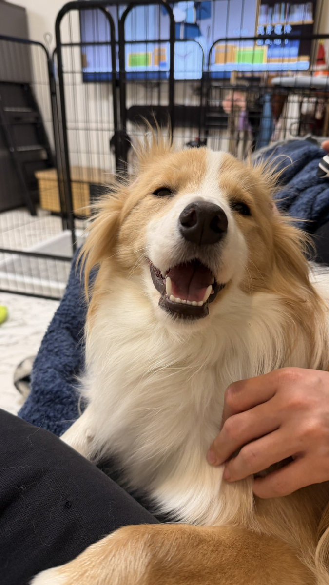 気持ちよくてアザラシになっちゃった！