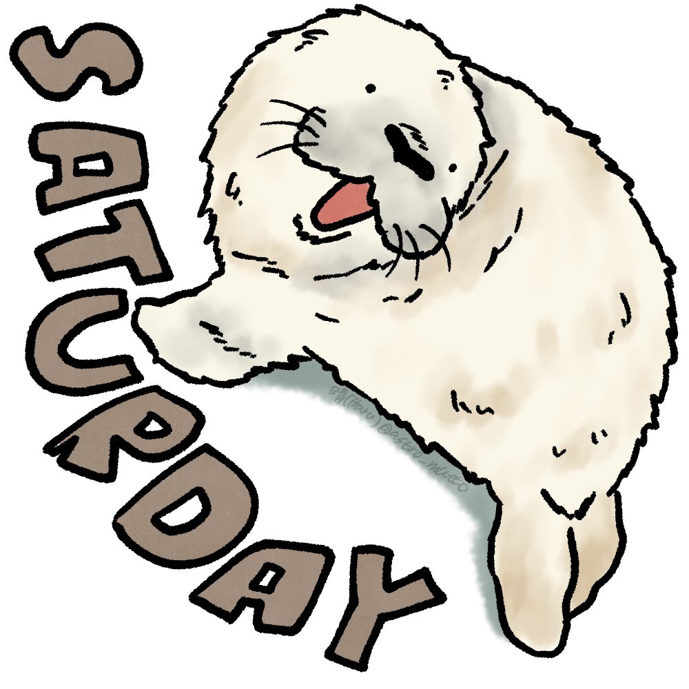 おはようございます☀️

Goedemorgen ☀️