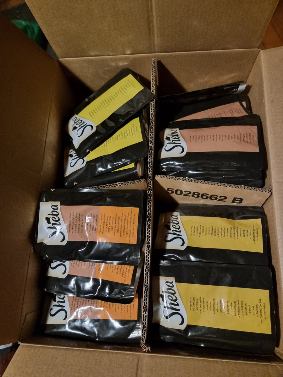 LiEriks's tweet image. Fyra sådana här pack borde räcka ett tag. 240 påsar.
#katt