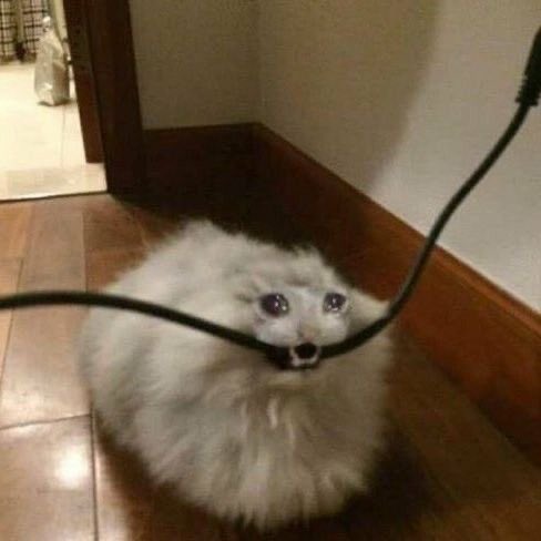 me when i stop taking my antidepressants and i get depressed again