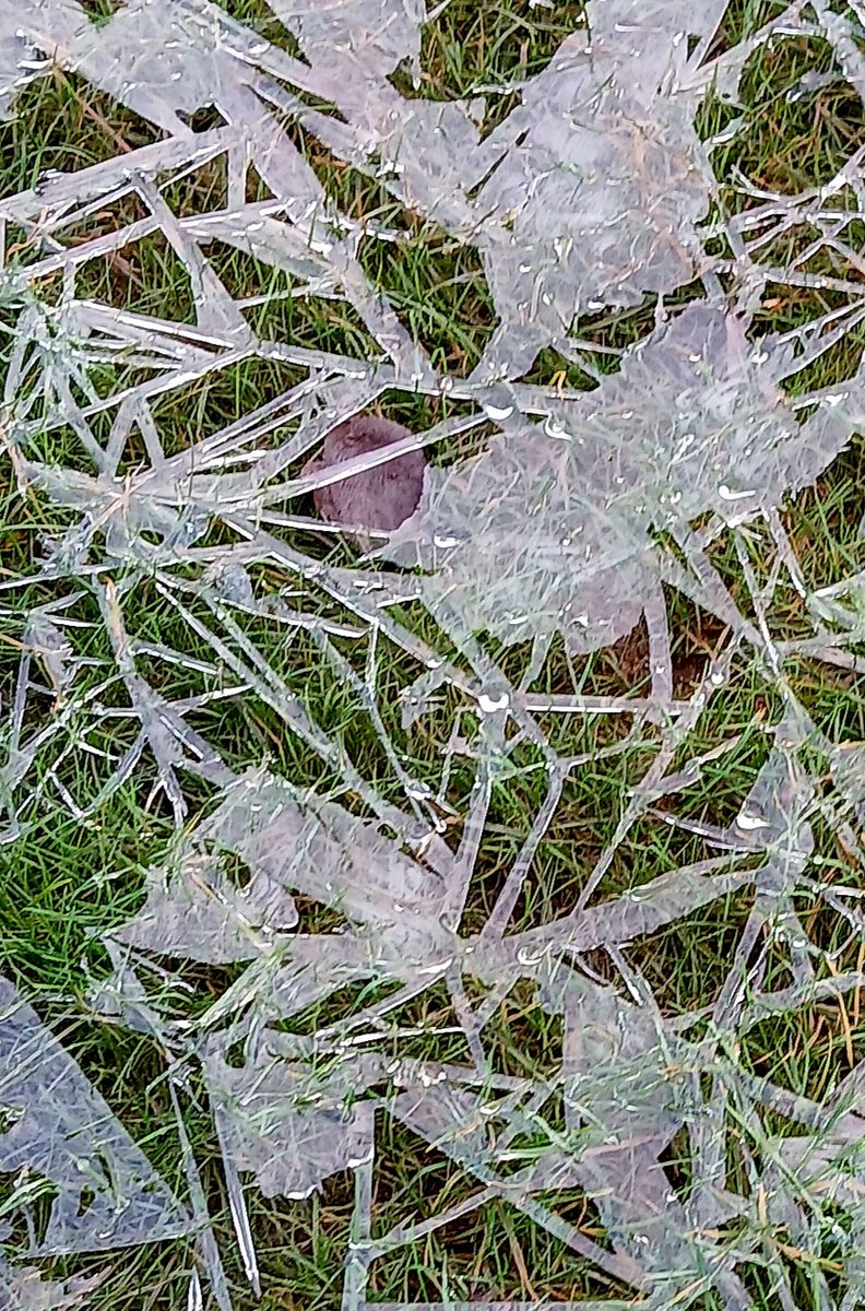 johnwxxiv's tweet image. #AlphabetChallenge #WeekVForVowels