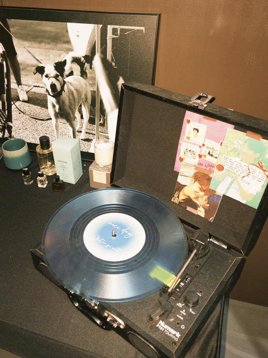 wonjowoo's tweet image. can’t get enough of this💜💚