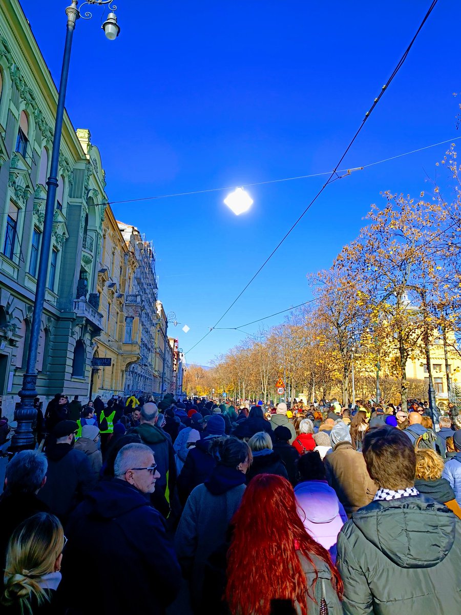 Viktor Gotovac tweet media