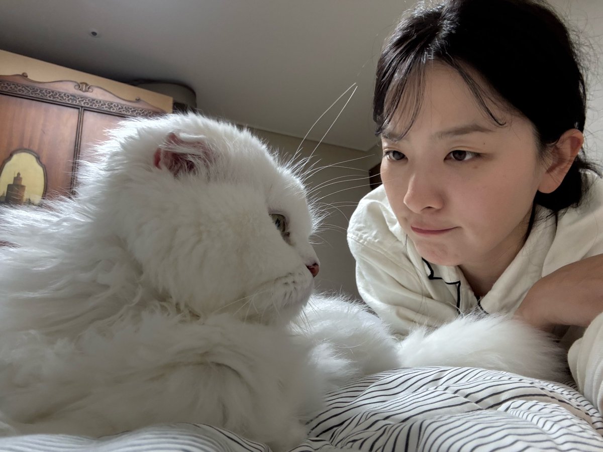 KSGUpdates's tweet image. 251130 🐻💬