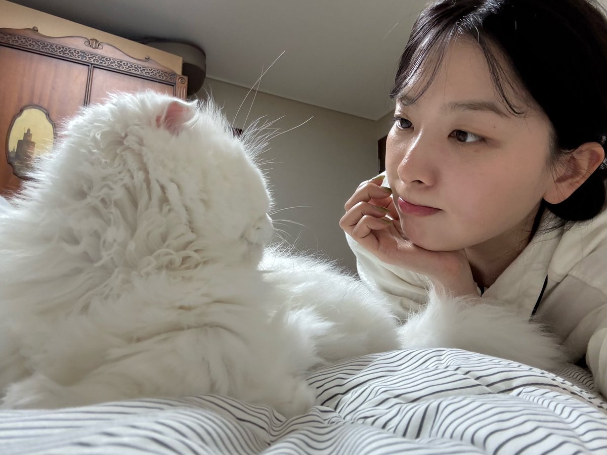 KSGUpdates's tweet image. 251130 🐻💬