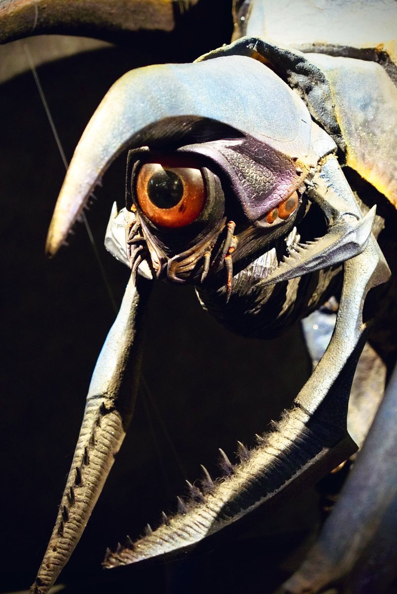 HIDEO_KOJIMA_EN's tweet image. 