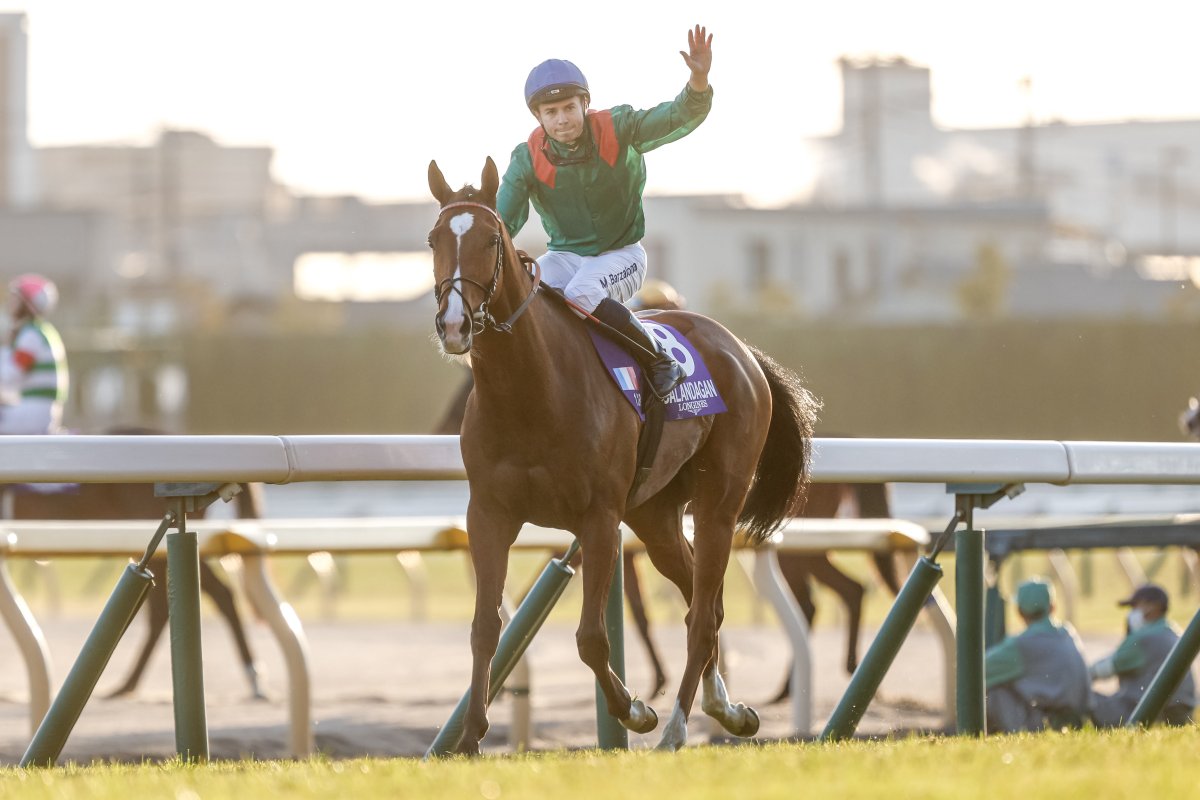 早い者勝ち❗️AbuGarcIa.ZoDIAS 🅿️🅿️🅿️