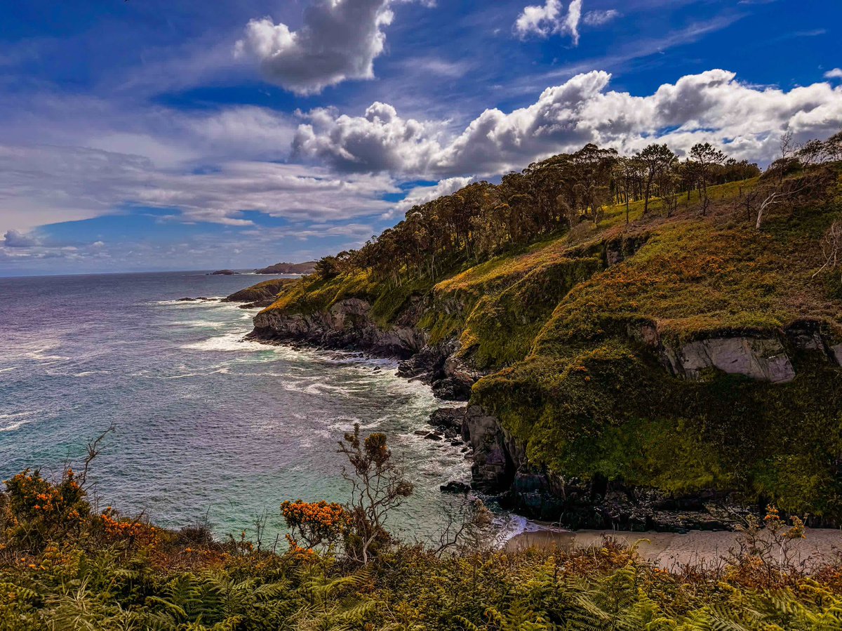 andres madrigal tweet media