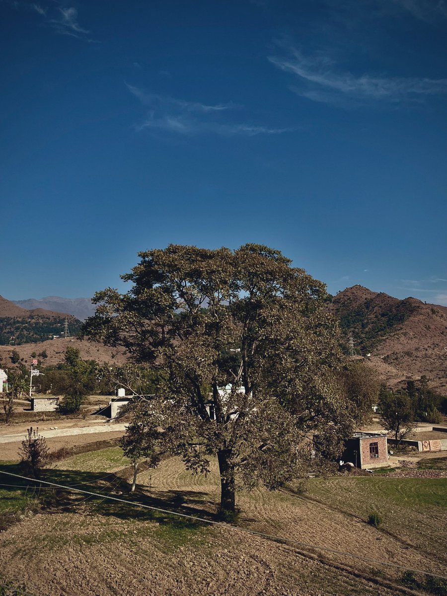 Solitude •••••••• ✨
It’s addictive••• ✨