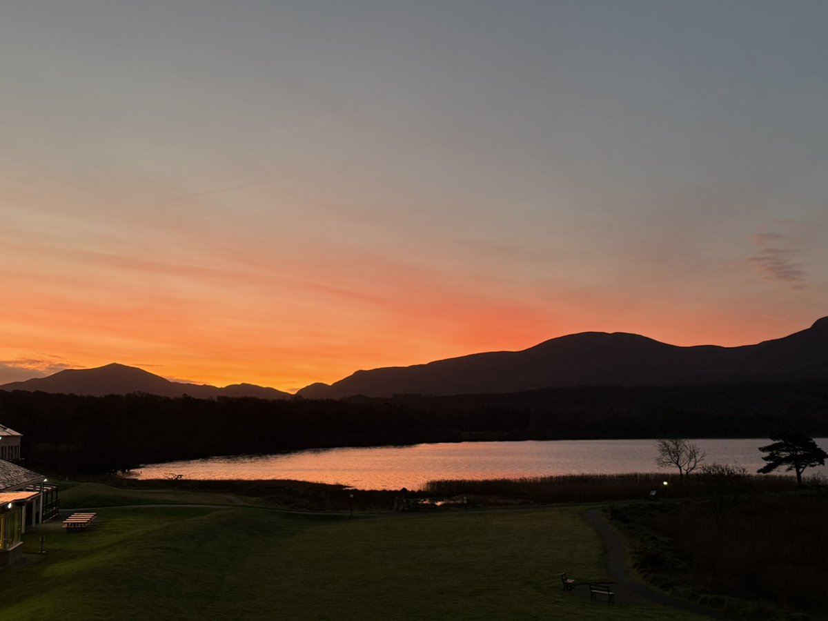 Anja Mueller tweet media