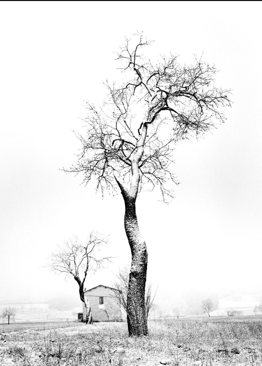 “tohumu ektiğin gün, meyveyi yediğin
   gün değildir.

   sakin ol…”
   .