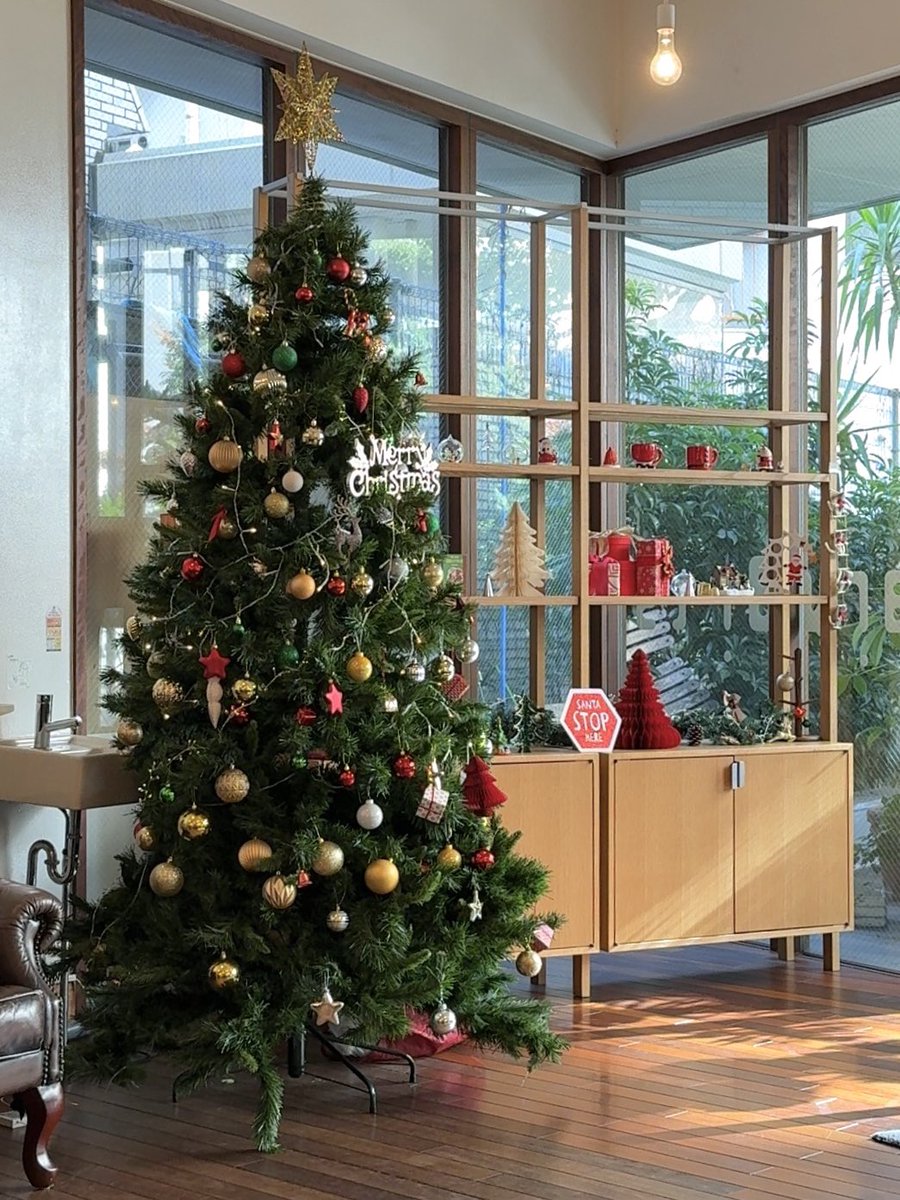 _yettocome___'s tweet image. お気に入りのカフェまた増えた˘ᴗ˘♡