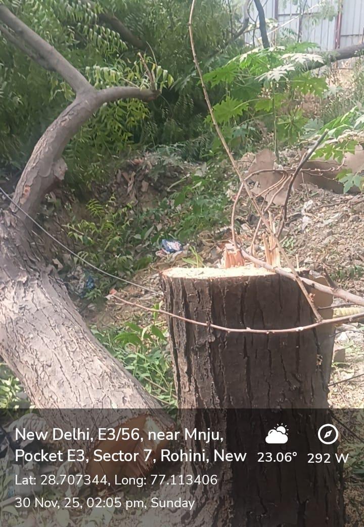 Devende86005764's tweet photo. @CPDelhi @mssirsa @CMODelhi @CPCB_OFFICIAL @moefcc @NEERAJ_RTI @PMOIndia @DelhiPolice @dofwgnctd @LtGovDelhi इससे ज्यादा गदर और क्या हो सकता देश में पेड़ों को काटा जा रहा है और सभी विभाग आंखें बंद करके बैठे हैं हम पॉल्यूशन में मर रहे हैं plot 52, pocket e 3 sector07 Rohini Delhi https://t.co/70lnMLcHuv