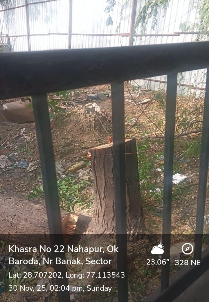 Devende86005764's tweet photo. @CPDelhi @mssirsa @CMODelhi @CPCB_OFFICIAL @moefcc @NEERAJ_RTI @PMOIndia @DelhiPolice @dofwgnctd @LtGovDelhi इससे ज्यादा गदर और क्या हो सकता देश में पेड़ों को काटा जा रहा है और सभी विभाग आंखें बंद करके बैठे हैं हम पॉल्यूशन में मर रहे हैं plot 52, pocket e 3 sector07 Rohini Delhi https://t.co/70lnMLcHuv