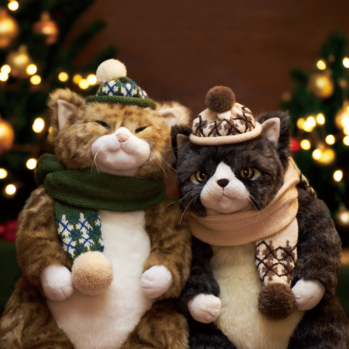 Cuddly（カドリー） (@CuddlyOfficial) / Posts / X