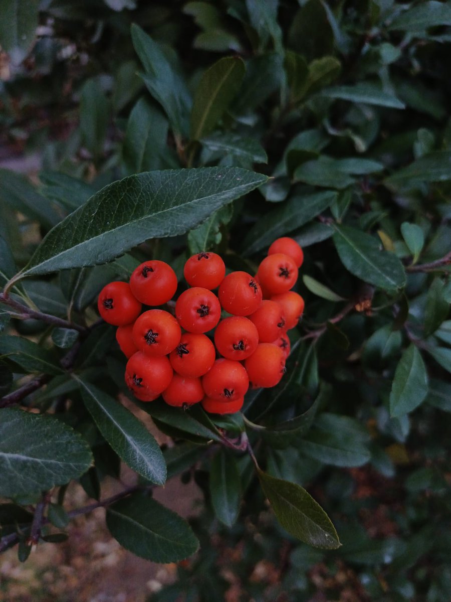 Ümitsizliğin gölgesi düşmesin kalbine...
#Pazar